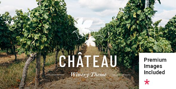Château – Winery and Wine Shop WordPress Theme