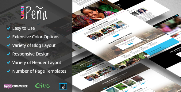 Pena – Charity/Non-Profit WordPress Theme