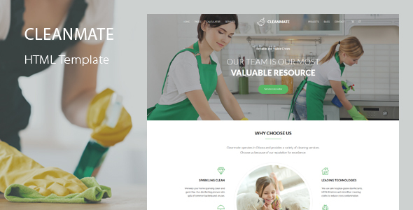 CleanMate – Cleaning Template