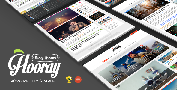 Hooray – Blog WordPress theme for Professional Writers
