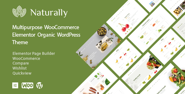 Naturally – Organic Food Elementor WooCommerce Theme