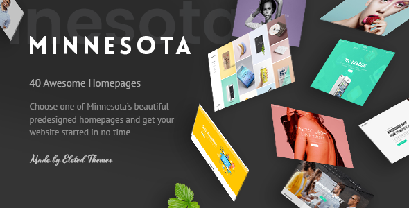 Minnesota – Professional WordPress Theme
