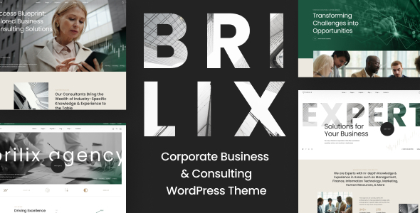 Brilix – Corporate Business & Consulting WordPress Theme