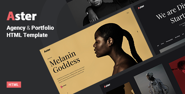 Aster – Creative Portfolio Agency Template
