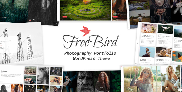 FreeBird – Photography Portfolio WordPress Theme