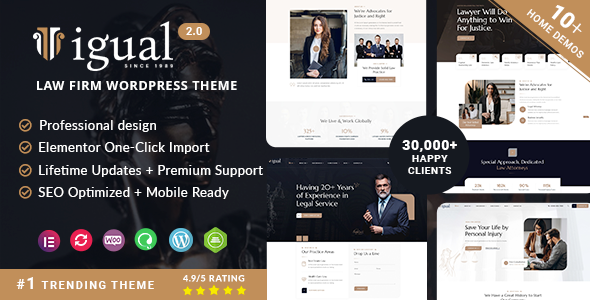 Igual – Lawyer Attorney Law Firm WordPress Theme