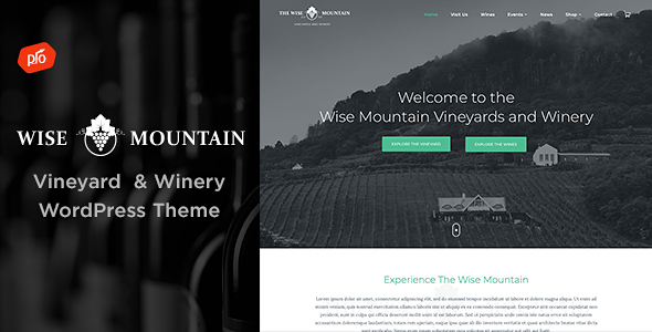 Wise Mountain – Vineyard and Winery WordPress Theme