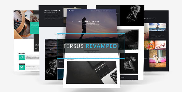 Tersus – Business Portfolio Parallax Muse Template