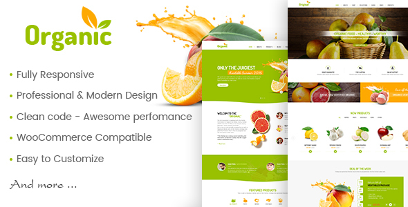 AmyOrganic – Organic and Healthy Theme for WordPress