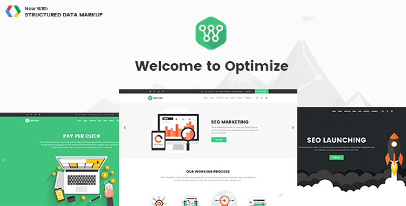 Optimize – SEO & Social Media WordPress Theme