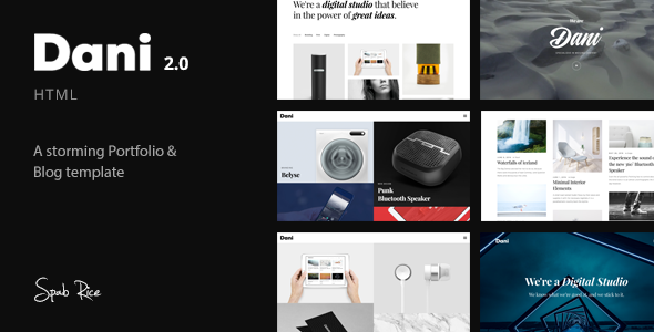 Dani – A Storming Portfolio & Blog template