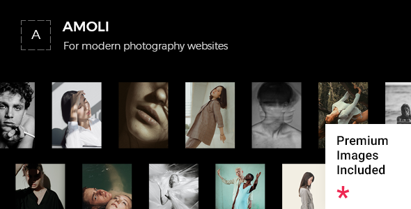 Amoli – Fashion Photography WordPress Theme