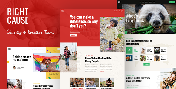 RightCause – Charity and Donation WordPress Theme