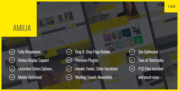 Amilia – Multipurpose One & Multi Page WP Theme