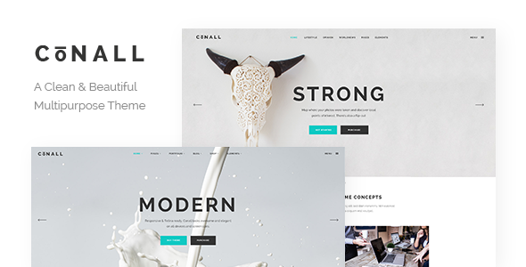 Conall – Clean Multipurpose WordPress Theme